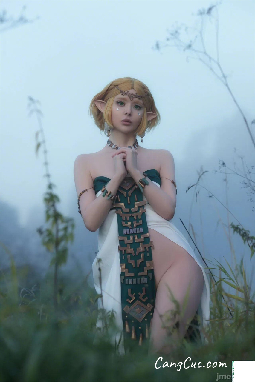 Coser@Vinnegal – Zelda